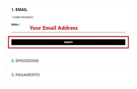 YSL email address